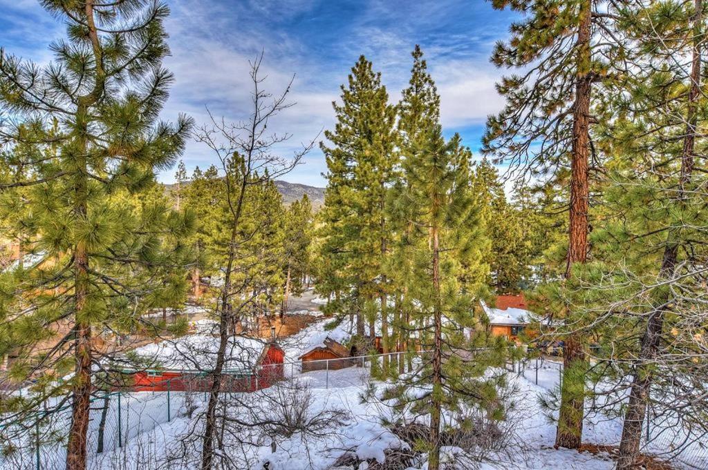 031 - Paradise Pines Big Bear Lake Dış mekan fotoğraf